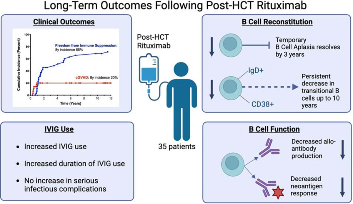 A 10-year study examining #cGVHD durability and immune reconstitution reveals sustained reduction in cGVHD rate and lasting B cell changes post #HCT Rituximab prophylaxis, with altered subset composition and decreased alloantibody formation. <a href="/vekennedy/">Vanessa Kennedy</a> ow.ly/wT2850RxXAs