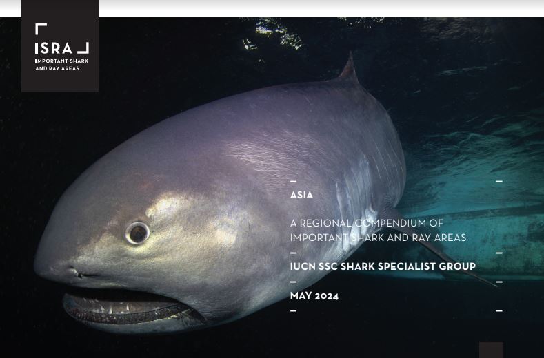 The Important Shark and Ray Areas project is excited to announce our latest compendium, featuring 122 Important Shark and Ray Areas in Asian waters, along with 45 areas of interest! This represents the work of 208 expert contributors. Image: Megamouth shark, credit Zola Chen