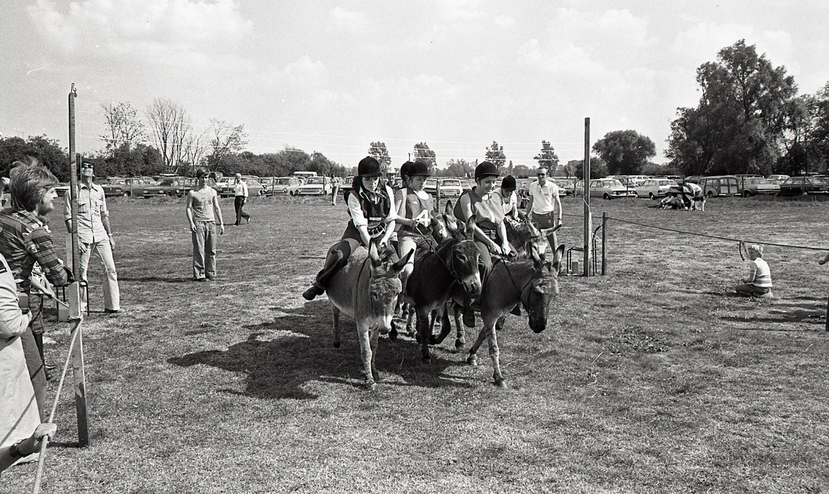 Donkey derby at #NewportPagnell carnival, mid #1970s (c.LAMK) How we preserve MK #memories: livingarchive.org.uk Buy bargain books: livingarchive.org.uk/content/catego… #placemaking #community #memories #history #MiltonKeynes #britishculture #archive #donkeyderby #WorldDonkeyDay