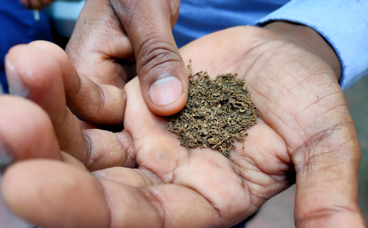 India, Bangladesh and Pakistan have 300 million smokeless tobacco users: 5 in every 6 of the world's users. Stopping its use there could save $23bn in lifetime costs, with biggest health impacts falling on young people who haven’t yet taken up the habit: brunel.ac.uk/news-and-event…