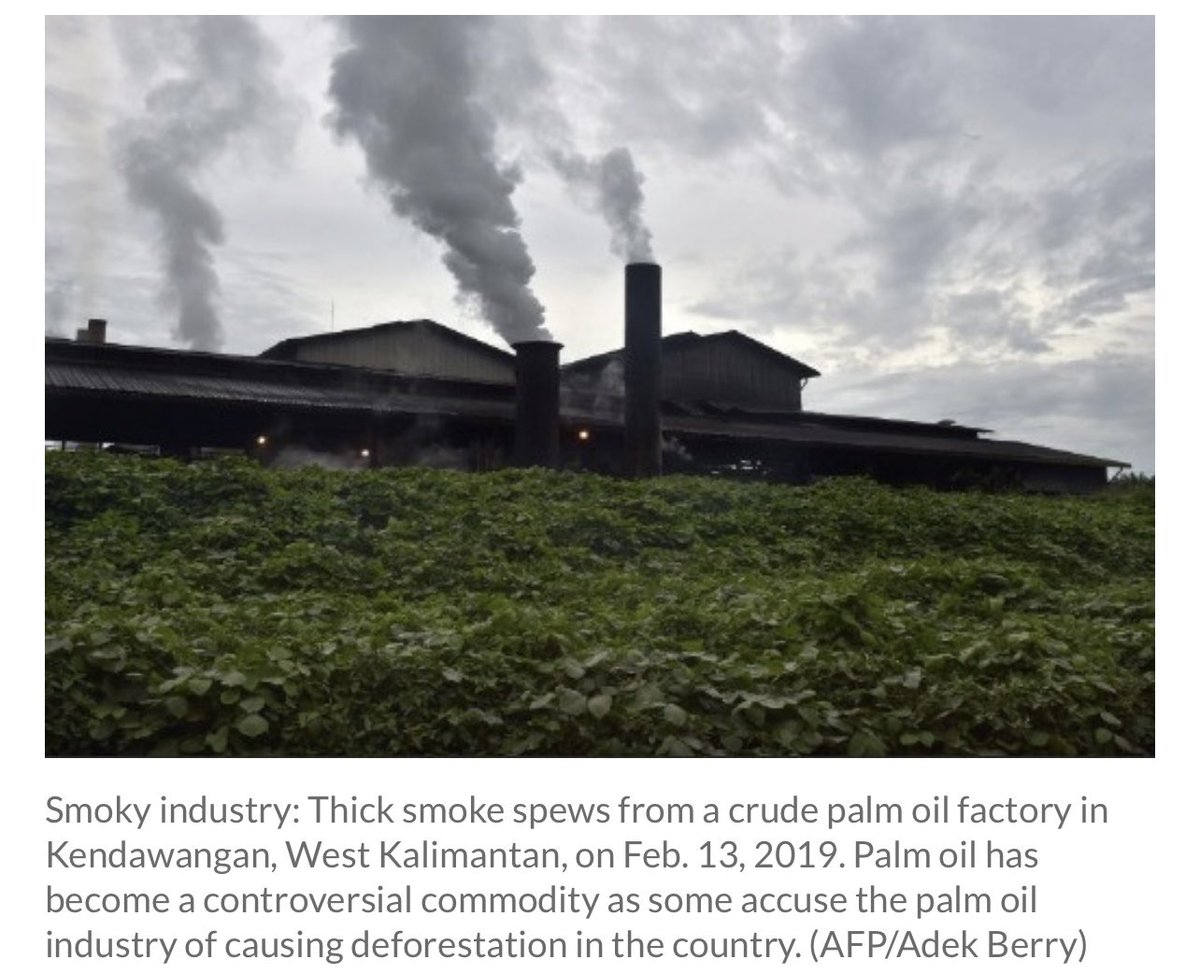 “The risk of deforestation within the palm oil industry has been [partly] attributed to the steep increase in the number of crude palm oil mills, which have been built without proper permits and adequate supply.” Who built and own them? thejakartapost.com/opinion/2024/0…