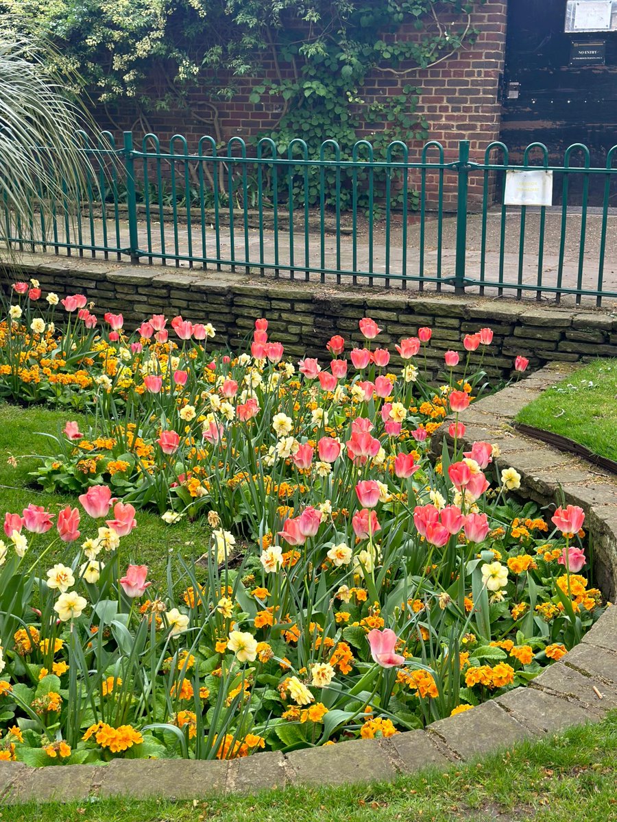 SimoneMesse's tweet image. The tulips in the park are so beautiful🌷