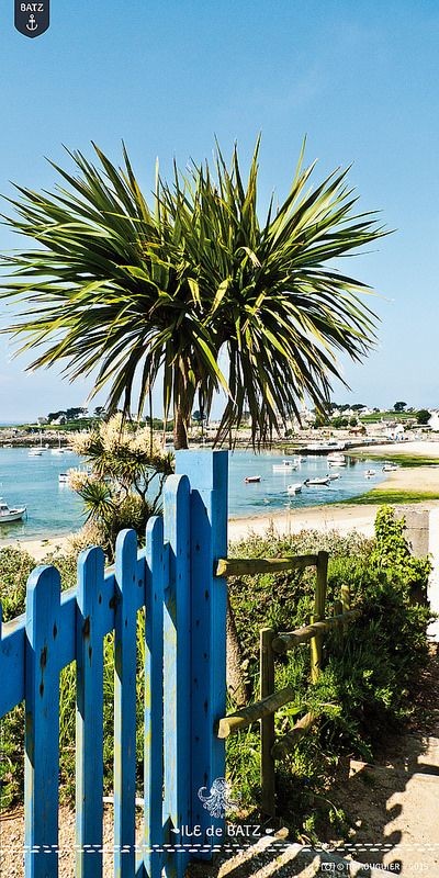 Île de BATZ EN BRETAGNE 🩸🩸🩸🩸🩸