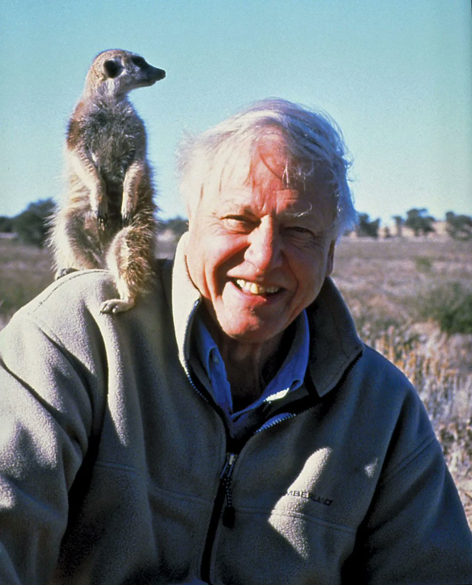 Happy birthday to David Attenborough. 98 today! When he talks about climate and nature, best listen up.