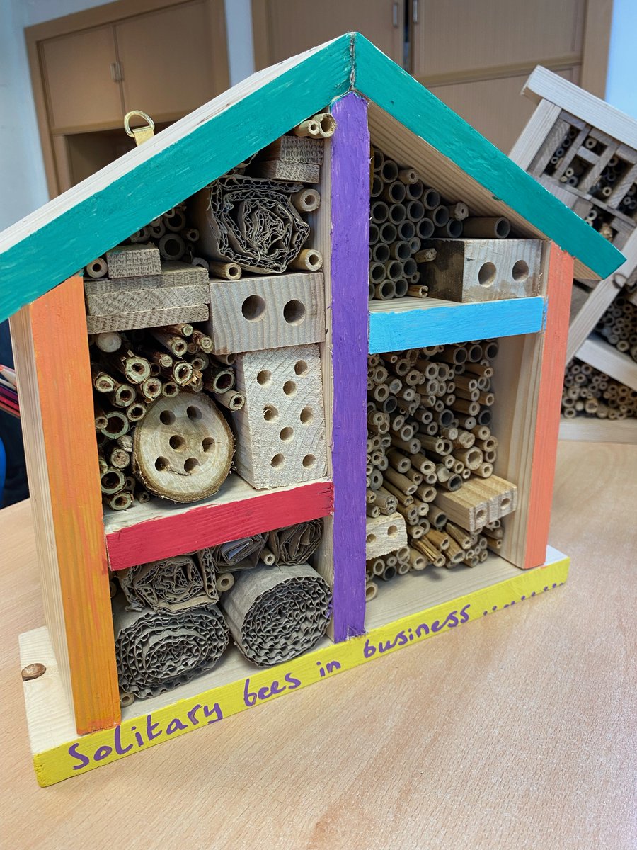 A big thank you to @BootleToolshed for making these wonderful bee hotel frames for the children at @svpliverpool to fill and decorate. @B4Biodiversity inspired the children to create more nesting habitats for solitary bees in their school grounds! @LtL_News #myschoolmyplanet