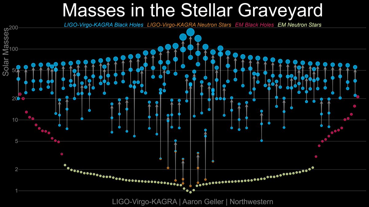 We have observed a diverse family of black holes using #GravitationalWaves

We now now they come in a range of sizes, but what are the biggest and smallest black holes we have discovered?

#BlackHoleWeek 1/🧵

📊: @NUCIERA
