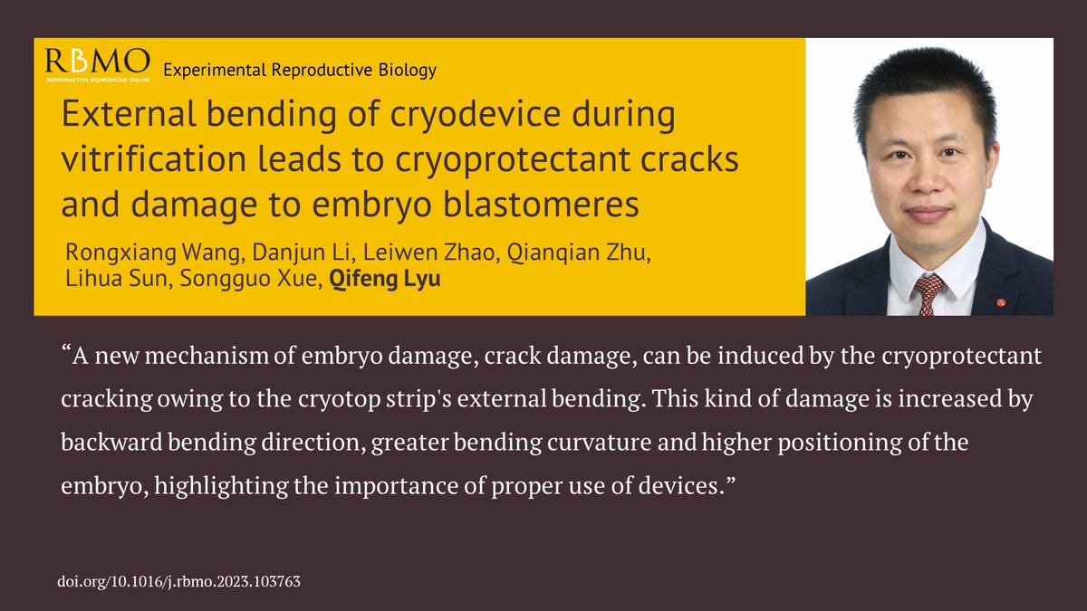 Embryo blastomeres and the zona pellucida are occasionally damaged during vitrification. This new paper investigates whether this results from crack-induced mechanical damage in the glass state, caused by external bending of the device. doi.org/10.1016/j.rbmo…