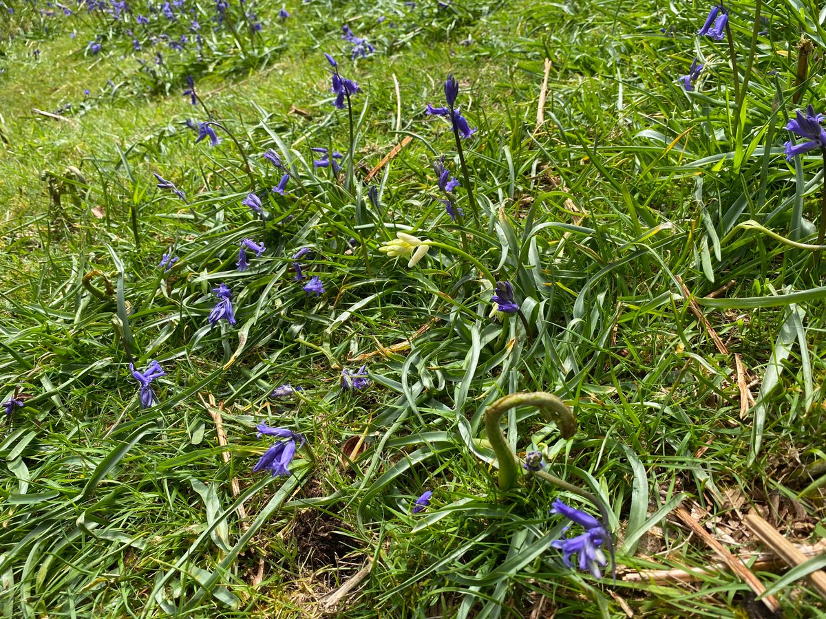 🏴󠁧󠁢󠁷󠁬󠁳󠁿 Pengwern: Self-catering. B & B. tweet media