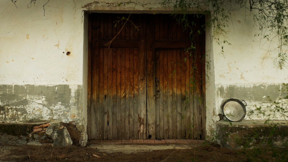 12 KM #Documentary habla sobre el origen de las ideas y la lucha por llevarlas a cabo. Del origen, el esfuerzo y el respeto al pasado. Una historia de familia y tradición. <a href="/elpaeller/">El Paeller</a> #paella #food #Valencia #cocina 

vimeo.com/933796001