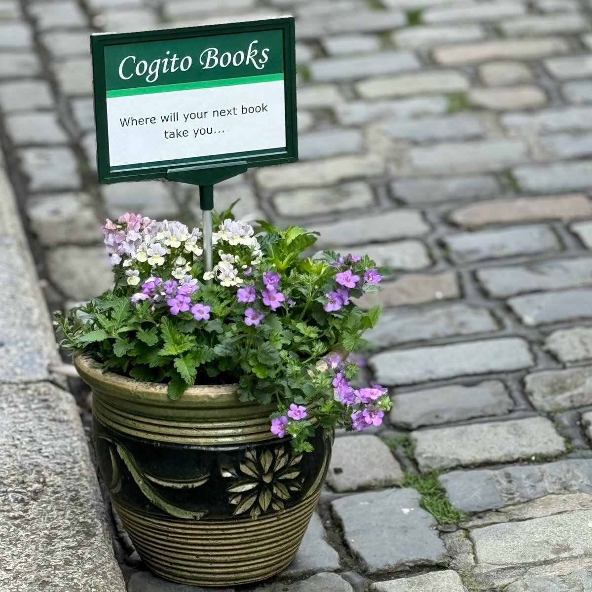 Spring has finally sprung on the cobbles! Do pop in and see us if you're out enjoying the long awaited balmy air today. #spring #sunshine #holidayreading #newbooks #choosebookshops #shopsmall #shopindependent #lovelocal