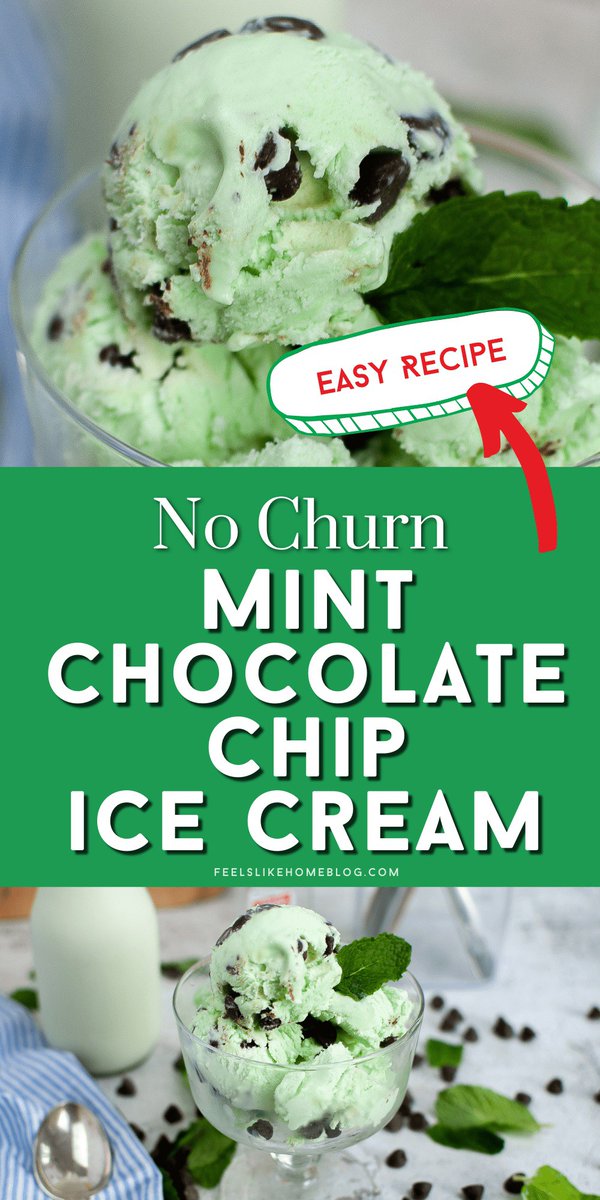 No churn ice cream is easy to make and tastes great.

Read more: No Churn Mint Chocolate Chip Ice Cream 👉 lttr.ai/ASQBQ

#NoChurn #IceCream #MintChocolateChip #StPatricksDay
