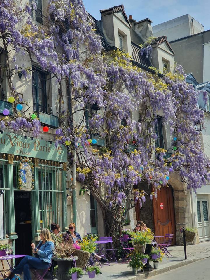 Daily #photooftheday from #France - a little bit of springtime wisteria hysteria... 
📷 Sarlat, Dordogne, Pat Bruce; Dinan, Brittany; Paris, Emma Budgen
#thegoodlifefrance #wisteria