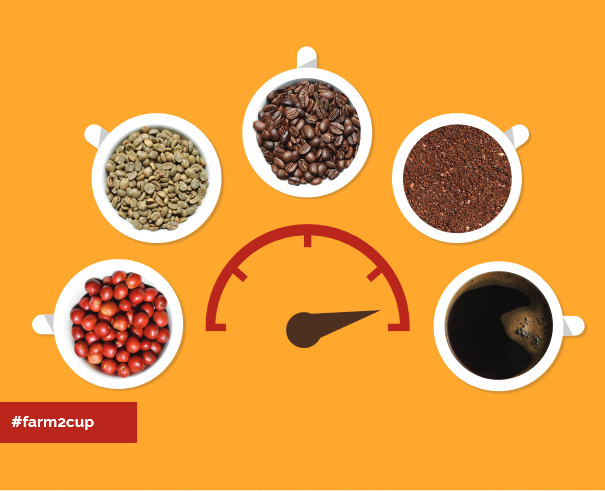 #CoffeeTalk: The beans that are transforming Uganda. 1 in 4 Ugandans derive their livelihood from coffee. Nearly a third of Uganda's export earnings are from coffee. There is more. Ugandans who drink at least 3 cups of coffee a day are more productive & healthier.
