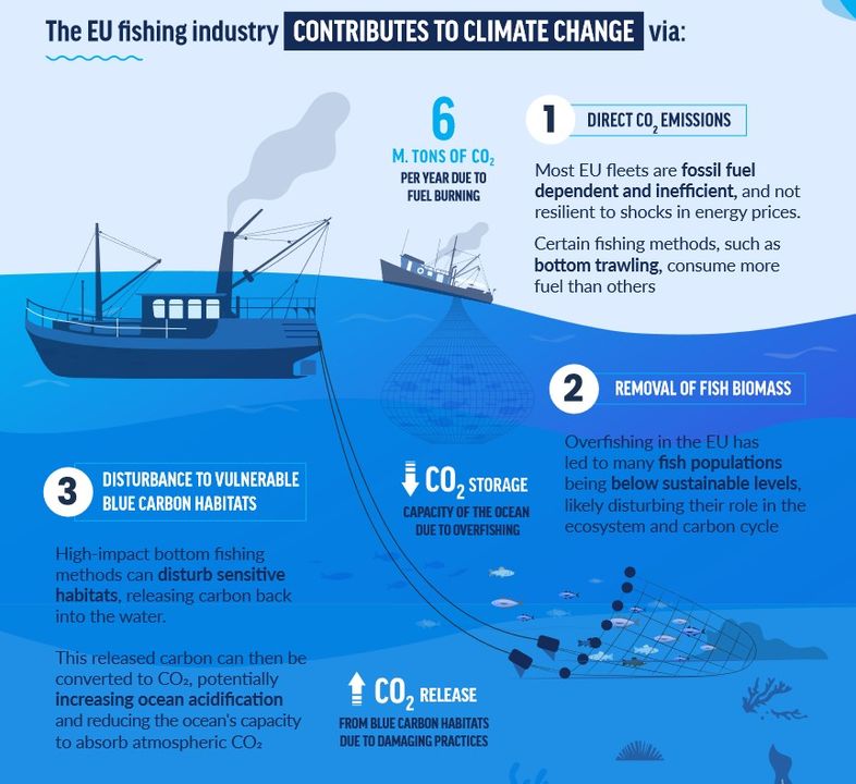 How does the EU fishing industry contribute to climate change? 🌍 Decarbonising the EU fishing sector is crucial! 🐟 Find it on our website: bit.ly/3CnWRme