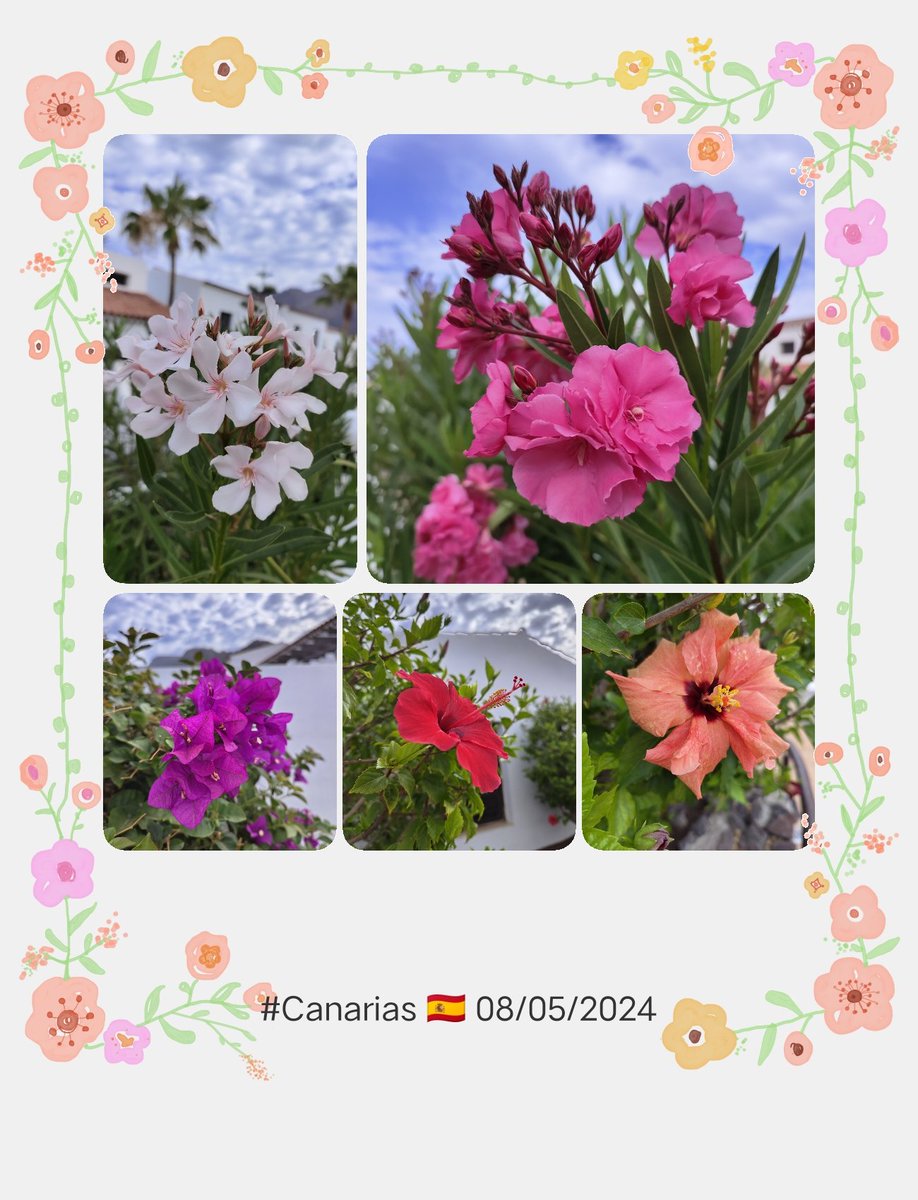 #Canarias 🇪🇸 08/05/2024