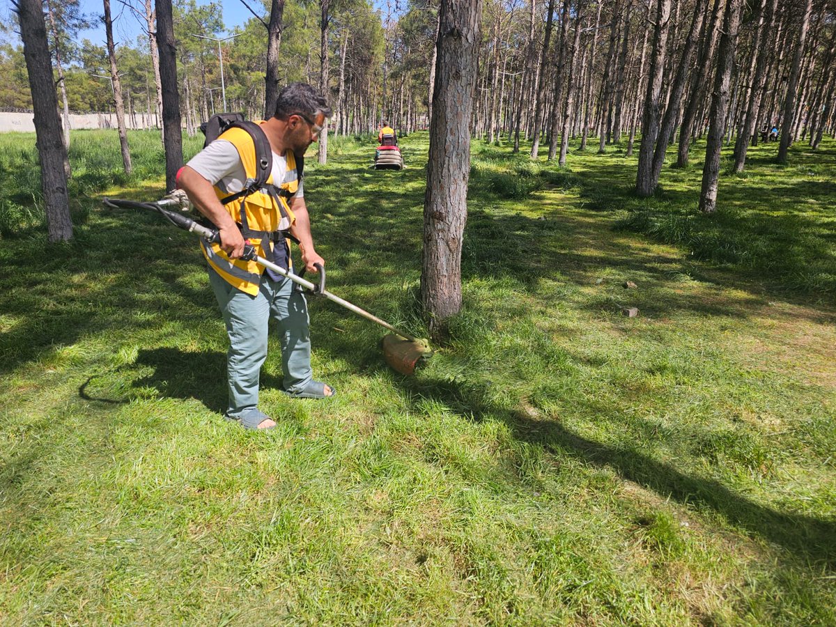Park ve bahçelerde bahar temizlik çalışmalarımız sürüyor. Parklarda uzayan çimler biçilirken, bank ve piknik masası montajı, bakım ve onarım ile peyzaj çalışmaları devam ediyor. Ekiplerimiz; parkların yanı sıra ana arterler ve orta refüjlerde de çiçek ekimi gerçekleştiriyor.