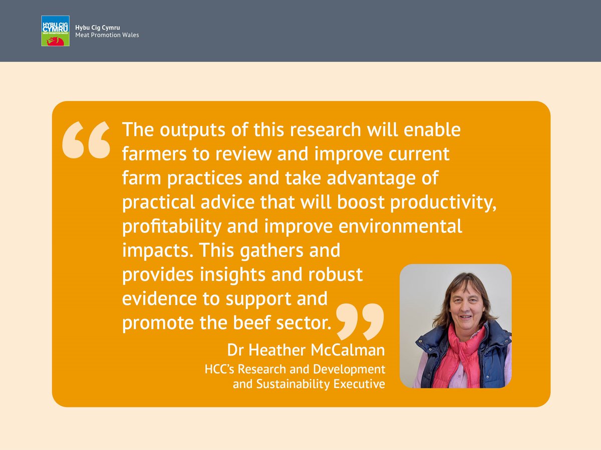 A joint report between levy bodies, HCC, QMS and AHDB, has highlighted practical steps farmers can take to improve their environmental impact and how to be more profitable. - meatpromotion.wales/en/industry-re…