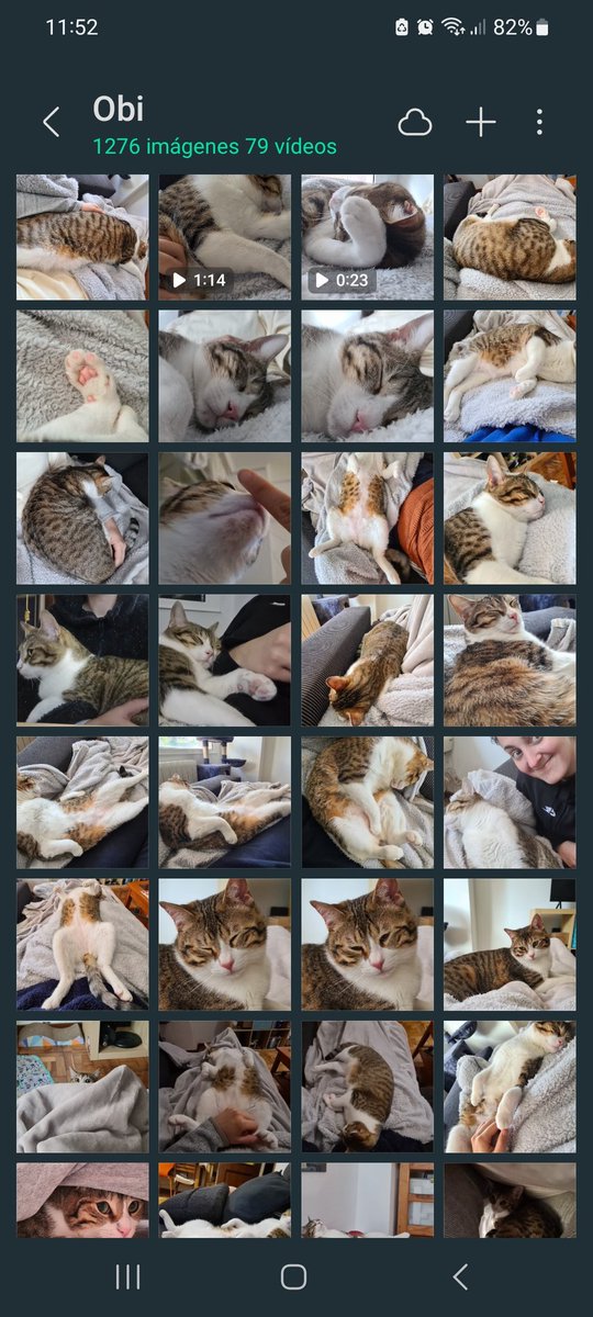 Cuando quiero un extra de serotonina en el día