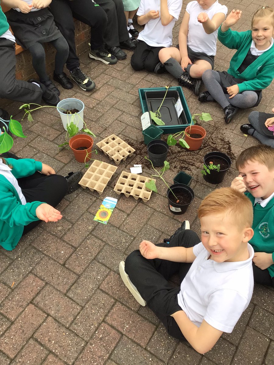 In science, we are learning about plants. Yesterday we had a go at identifying the parts of a plant and then planting our own seeds!🪴🌿