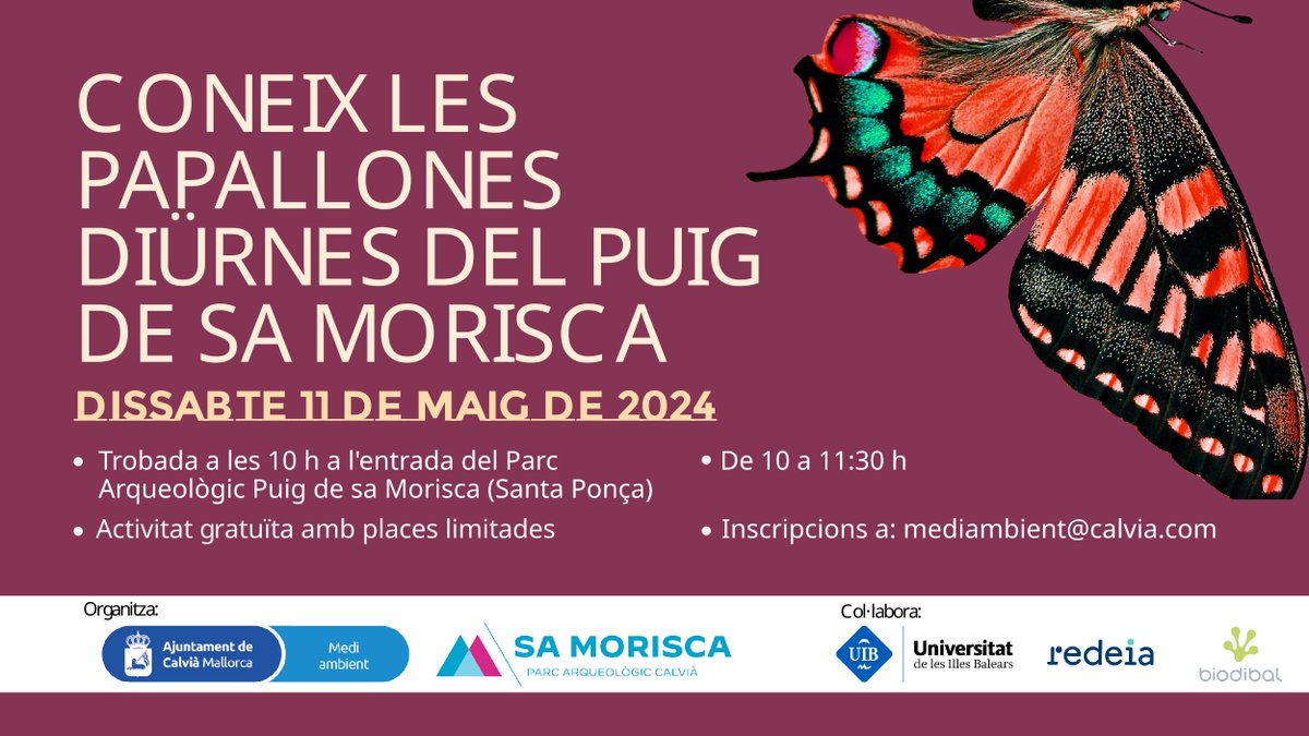 parcsamorisca's tweet photo. Anima't a descobrir les meravelloses i vistoses papallones diürnes a Sa Morisca, de la mà d'un expert que ens contarà tots els seus secrets. 🦋

Aquest dissabte 11 de maig de 10 a 11:30 h.

Inscriu-te a: mediambient@calvia.com
O al formulari: https://t.co/LsnWdmrukC https://t.co/lXGTngYKm7