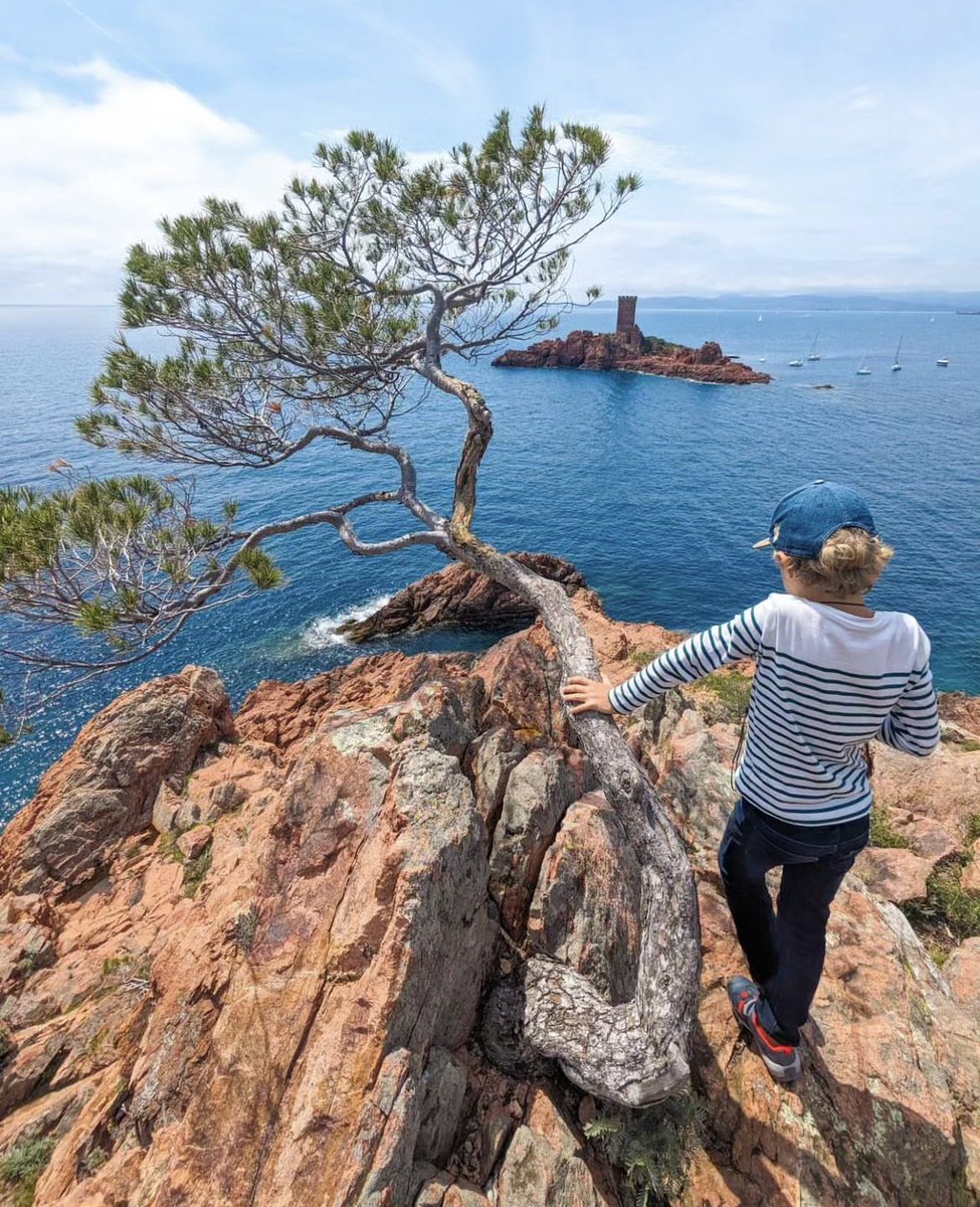 frrivieraguide's tweet photo. 3m_travel in Cap Dramont #southoffrance #france #agay #var #straphael #boulouris #ledramont #letrayas #antheor #esterel #esterelcotedazur #capdramont @esterelcotedazur https://t.co/MucVLXt9FO