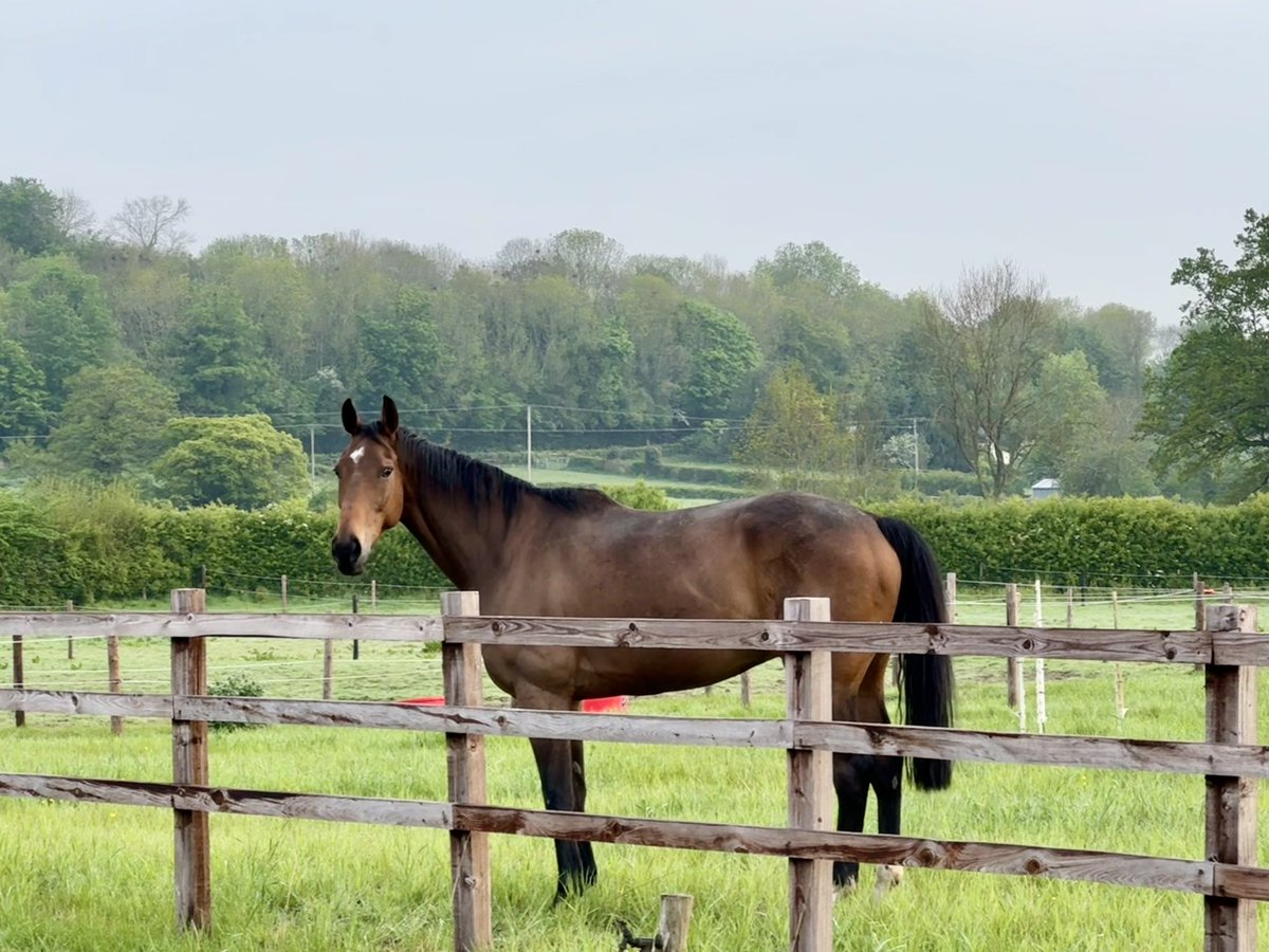 AstroStace's tweet image. Got some cool neiiiiighbours! #minimoon