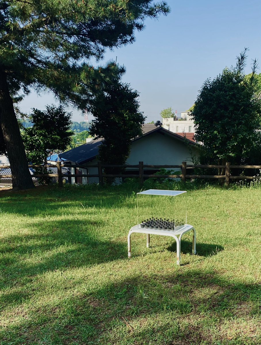 sfuse's tweet photo. 我孫子アートな散歩市に参加します。
5/12-6/9 楚人冠公園 https://t.co/qcqK31m5in