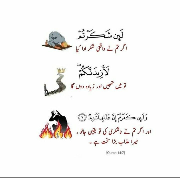 اسلام وعلیکم ورحمتہ اللہ وبرکاتہ 
صبح بخیر 😌