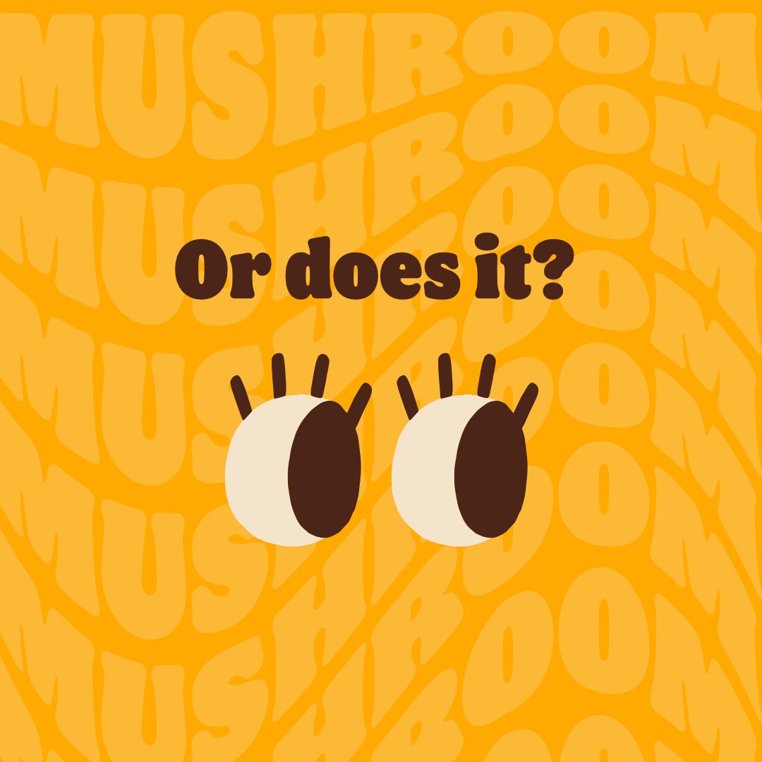 burgerking_uae's tweet photo. إكستريم تشيزي مشروم تقدم: مجموعة من المعلومات الإكستريم.. مثلها!
#برجر_كنج

Extreme Cheesy Mushroom presents: Tasty bites of weirdness.
#burgerking https://t.co/xQlgAf5Z6s