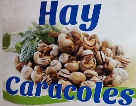 ¿Soy yo, o todos los bares de Albacete tienen el mismo cartel para anunciar que tienen caracoles?