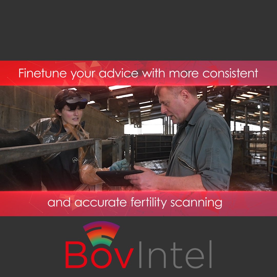 Bovintel - Our innovative add-on to Easi-Scan:Go automates identification of key fertility indicators, provides accurate measurements and empowers you to provide precise advice for optimising conception rates. Start your free 30-day trial now hubs.ly/Q02tq-ZQ0 #DairyVet