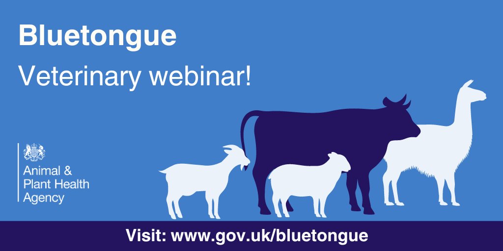 #Vets Our Plan, Protect and Prevent #bluetongue webinar for veterinary professionals is now available on YouTube. Catch up here youtu.be/izzdsksT3r4