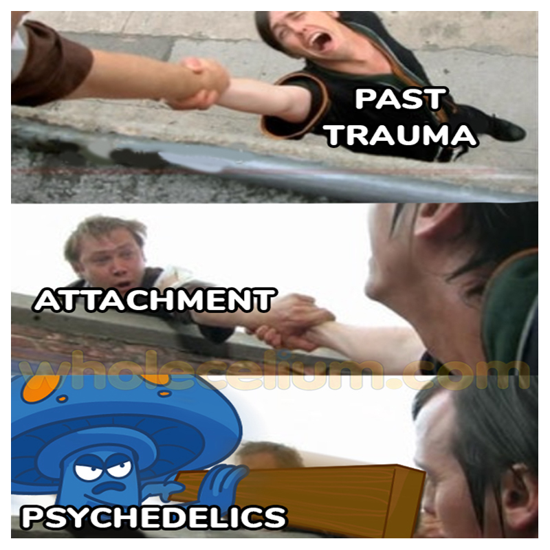 Past trauma vs psychedelics be like... #psychedelics #mentalhealth #wellness
