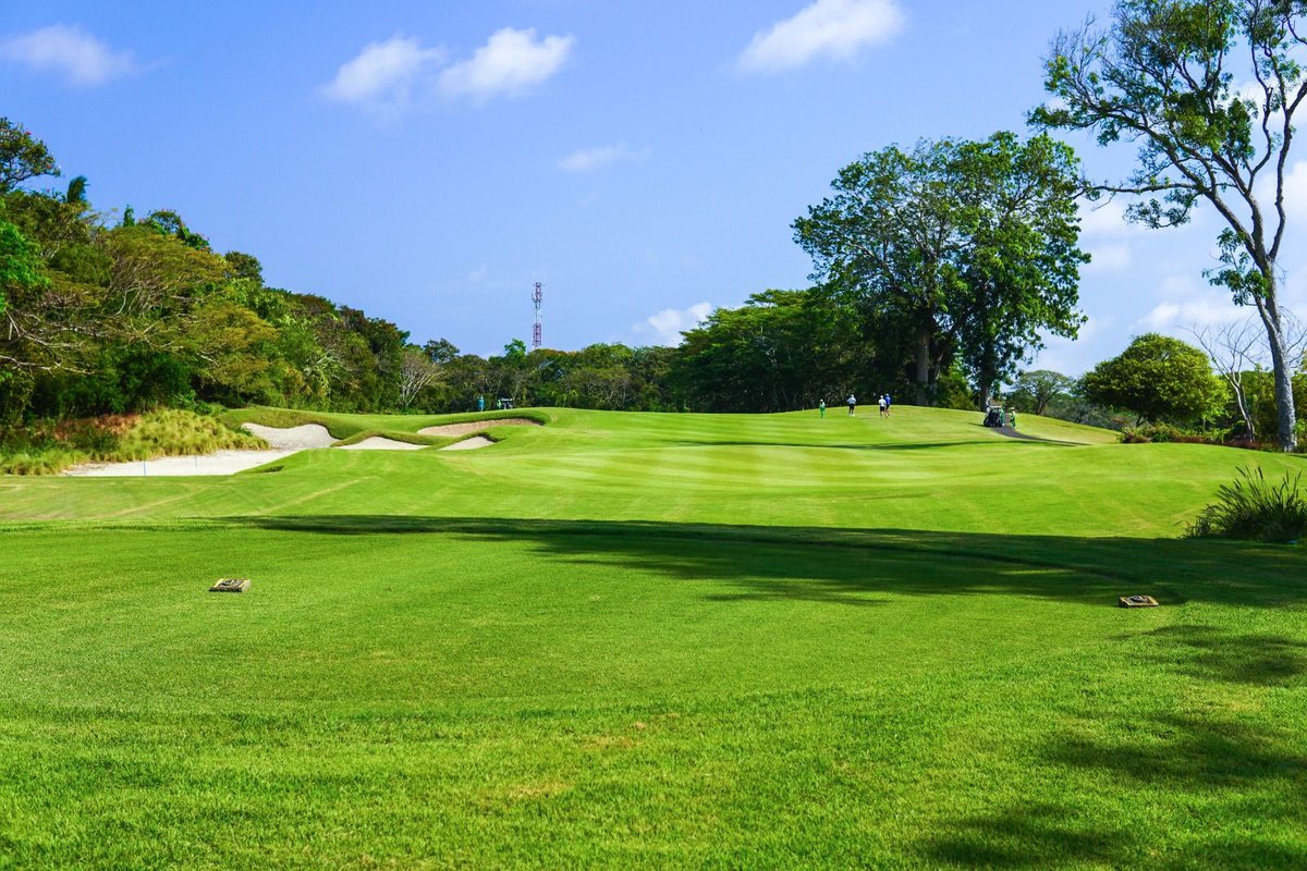 Fairways Of Glory 

Book your tee time now
Phone: (+62)361 771 791
Whatsapp: (+62)811 3898 416
Email: bdl.reservations@balinational.com

#golf #balinationalgolfclub #golfclub #golfcourse #golf #golfer #golfers #nusadua #indonesia #golfinbali #baligolf