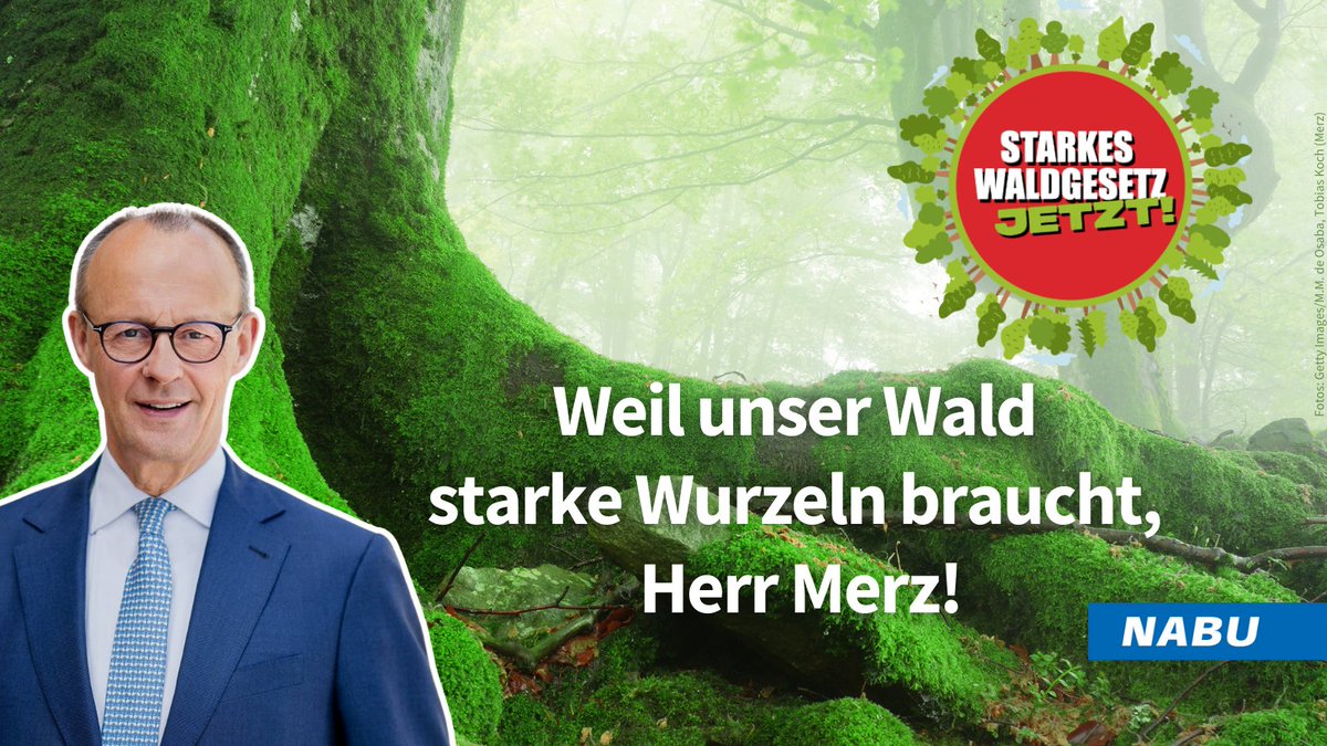 Herzlichen Glückwunsch zum neuen #Grundsatzprogramm @CDU 👏: Das spricht für die Novelle des #Bundeswaldgesetz|es im Sinne einer freien, gerechten & nachhaltigen Wirtschaftsordnung mit klaren Regeln 👍. nabu.de/natur-und-land…