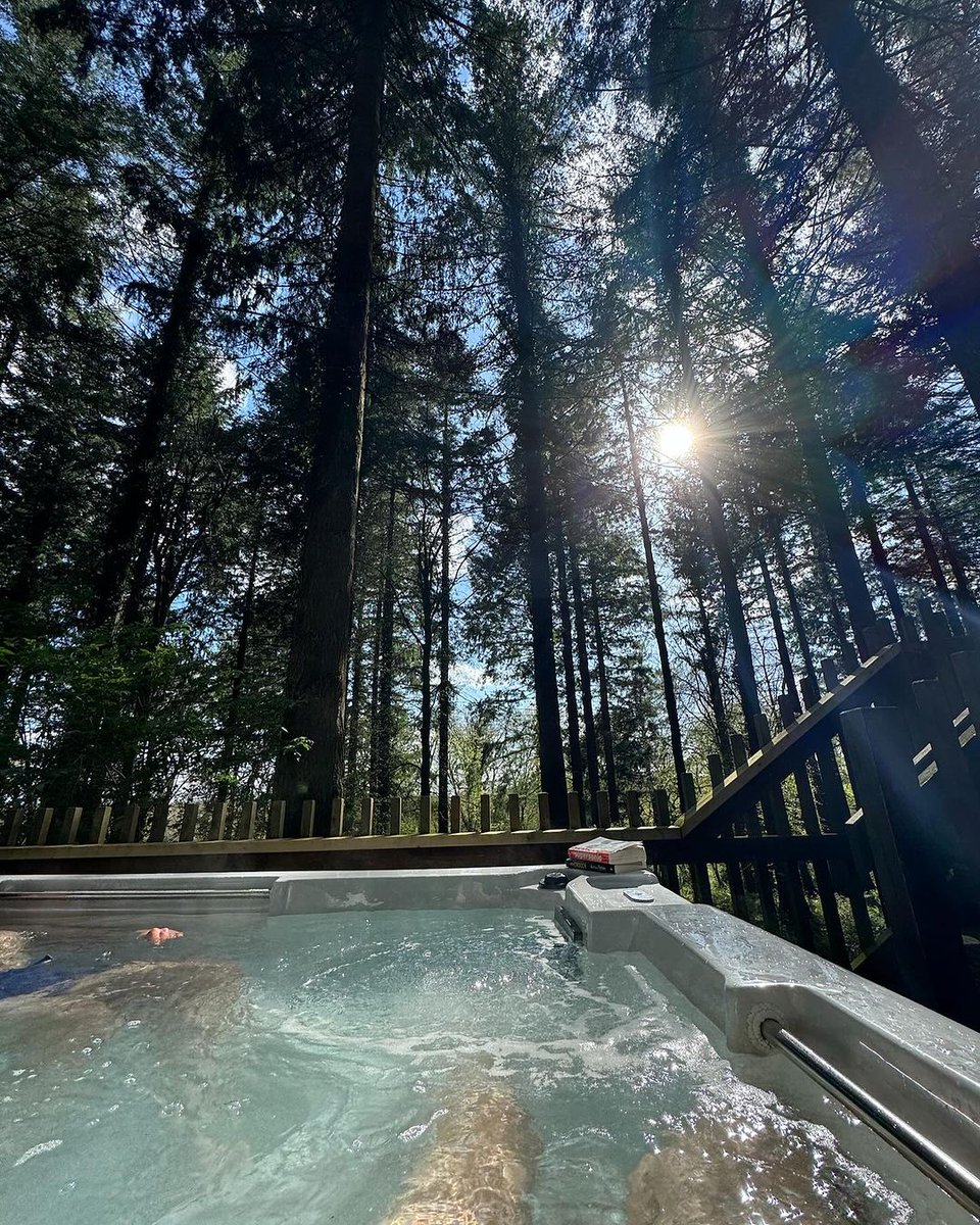 Sit back, relax and watch the sun filter through the trees 💚 Book your stay: forestholidays.co.uk 📸 jordanburnspt 📍 Forest of Dean, Gloucestershire #forestfeeling #forestbathing #naturetherapy