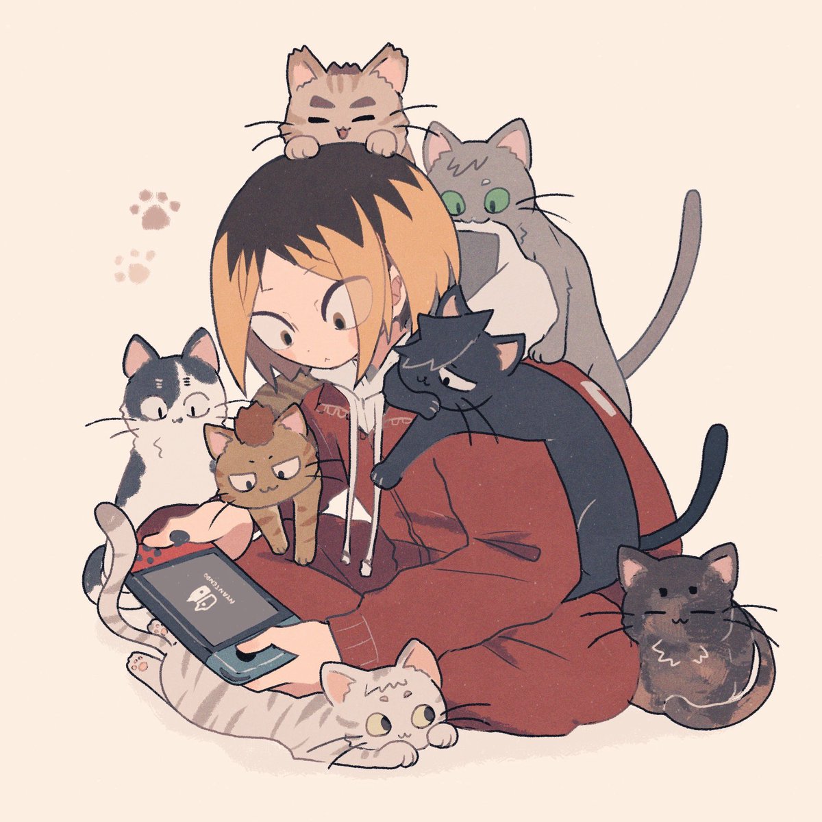 rii_A_'s tweet photo. ねこまみれ🐈 https://t.co/7Cv5cGiSw3