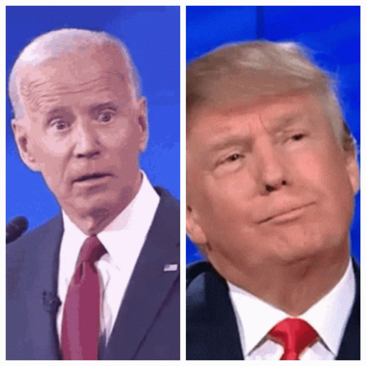 These are my choices? 🫤
I'll pass!