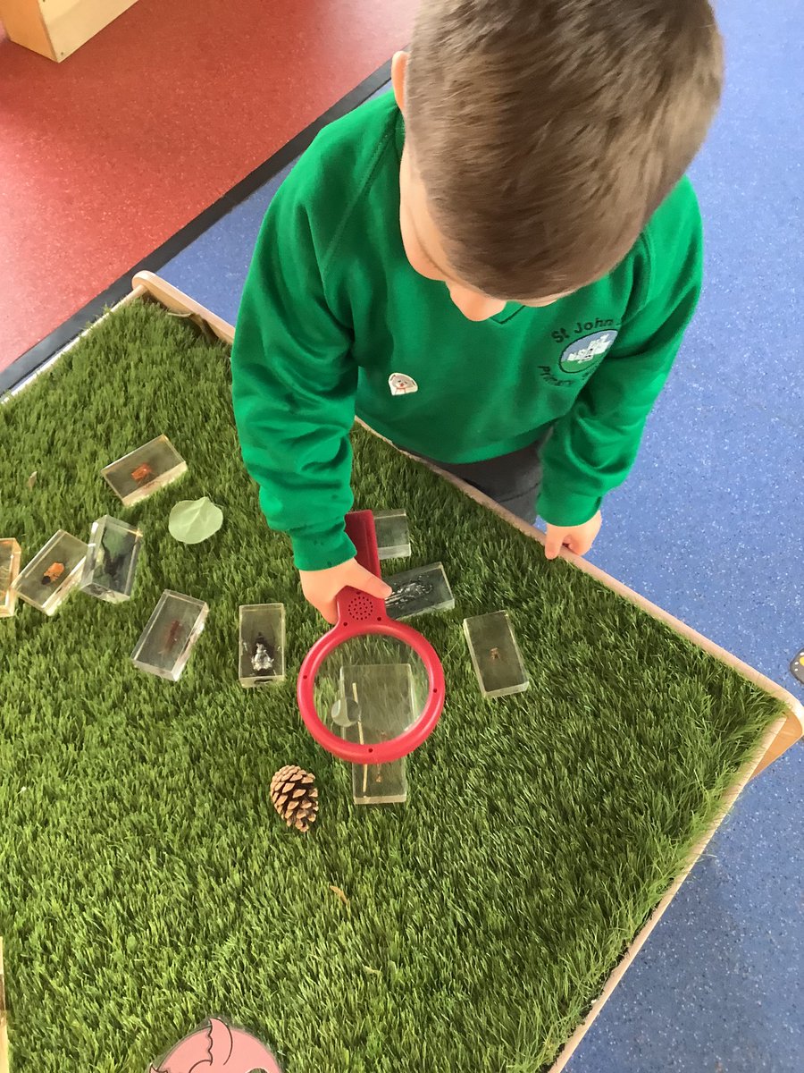 🍃🐛🍃 Wow! It’s like a real museum here in #EarlyYears ! 🍃🌳🐛🌳🍃 We’ve been looking very carefully at some Mini Beast specimens! 🍃🐛🌳🍃 #Observatory #ScienceInAction @SJLCARDIFF
