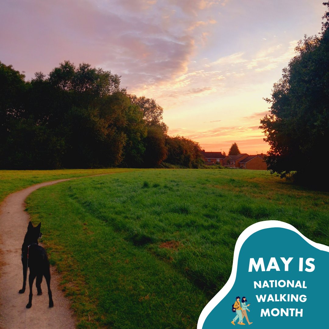 GO Travel Solutions (@gotravsolutions) on Twitter photo 🚶Celebrate walking month with us!
May marks National Walking Month, and this week, we're delighted to feature a photo from Becky our Marketing and Communications Officer, capturing her early morning dog walk! 🐾 
#nationalwalkingmonth #NWM2024 #activetravel 🚶Celebrate walking month with us!
May marks National Walking Month, and this week, we're delighted to feature a photo from Becky our Marketing and Communications Officer, capturing her early morning dog walk! 🐾 
#nationalwalkingmonth #NWM2024 #activetravel