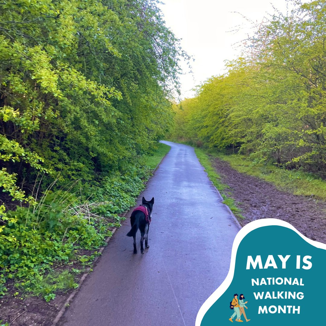 🚶‍Celebrate walking month with us!  

May marks National Walking Month, and this week, we're delighted to feature a photo from Becky our Marketing and Communications Officer, capturing her early morning dog walk! 📷 
#nationalwalkingmonth #NWM2024 #activetravel