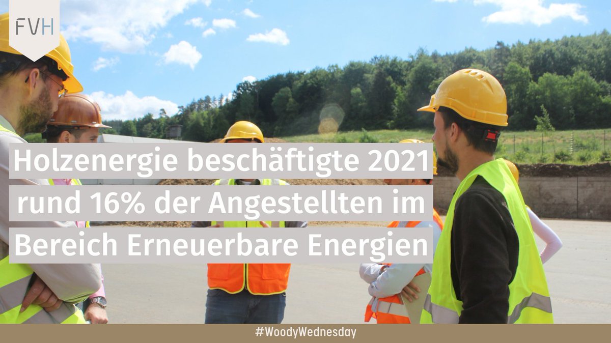 Mehr als 55.000 Menschen arbeiteten in DE in 2021 für die #Holzenergie. 26% der Angestellten entfallen auf Bayern, gefolgt von Nordrhein-Westfalen mit 17%. Insgesamt gibt der Bioenergiesektor in DE über 110.000 Menschen #Arbeit. #WoodyWednesday
