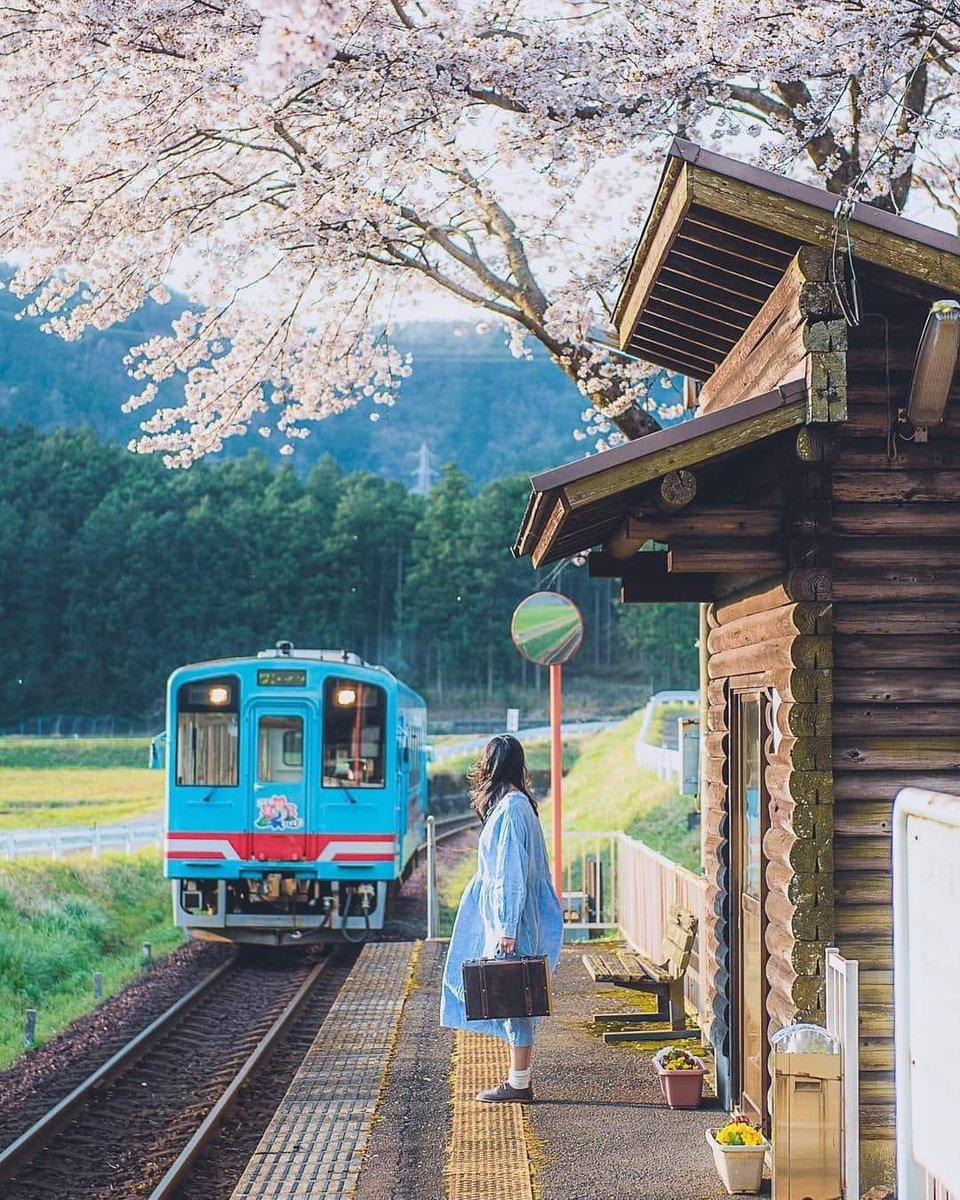 A train station in Japan 🇯🇵