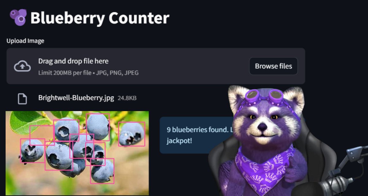 Hey there, 
#berrylovers &amp; #techenthusiasts! 
🫐📷 Just dropped my latest blog post on building a blueberry counter with <a href="/Streamlit/">Streamlit</a> &amp; <a href="/Roboflow/">Roboflow</a>
Check it out on Lenny's Blog!  #Streamlit #Roboflow #lennysgang

lenny-s-blog.vercel.app/blog/Blue-berr…