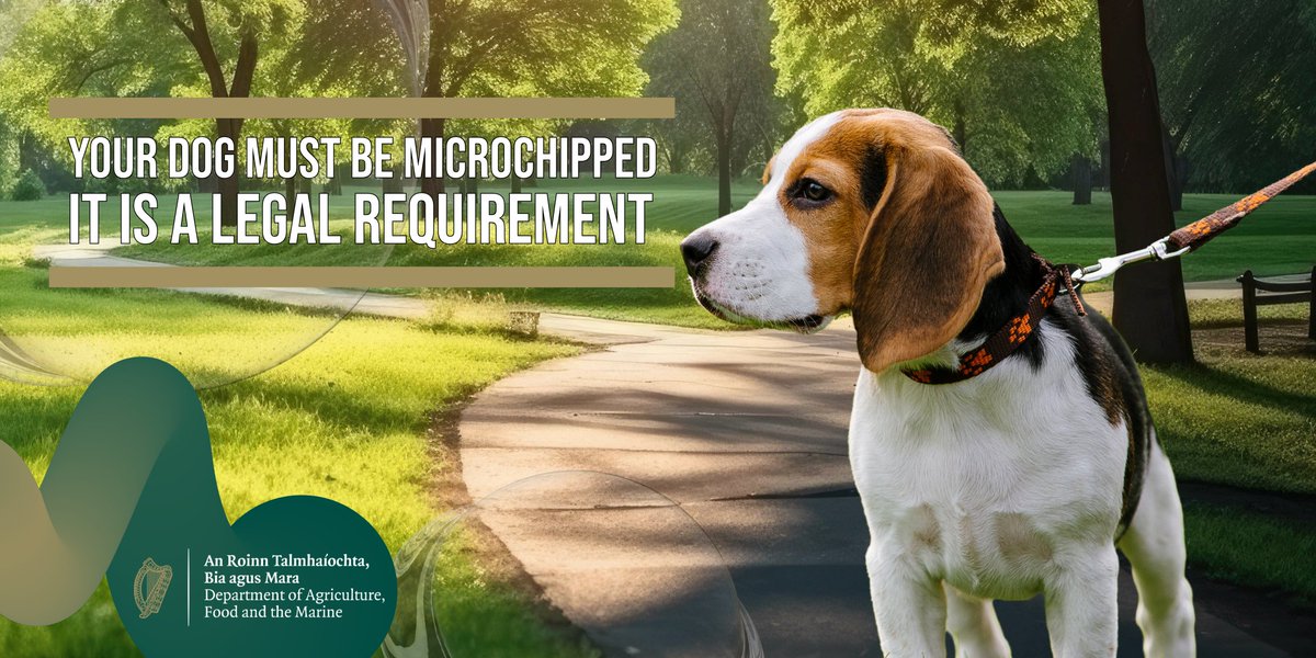 How do I get my pet microchipped? ▶️Your local vet - bring valid photo identification and proof of address to the appointment. ▶️If your contact details change, be sure to update the microchip database provider. @DublinSPCA, @ISPCA1, @DogsTrust_IE 📷gov.ie/pdf/?file=http…