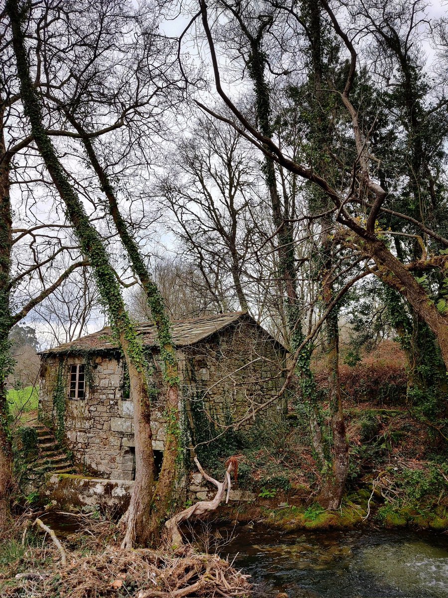 A paz e a tranquilidade da natureza, refuxio da alma 🍁🍀💜⏳🕊️. Bo día chiador@s! 📷📌 Val do Umia. #Photography #photo #mobilephotography #nature #natureza #naturaleza #landscape #zen #Countryside #Galicia #Galiza