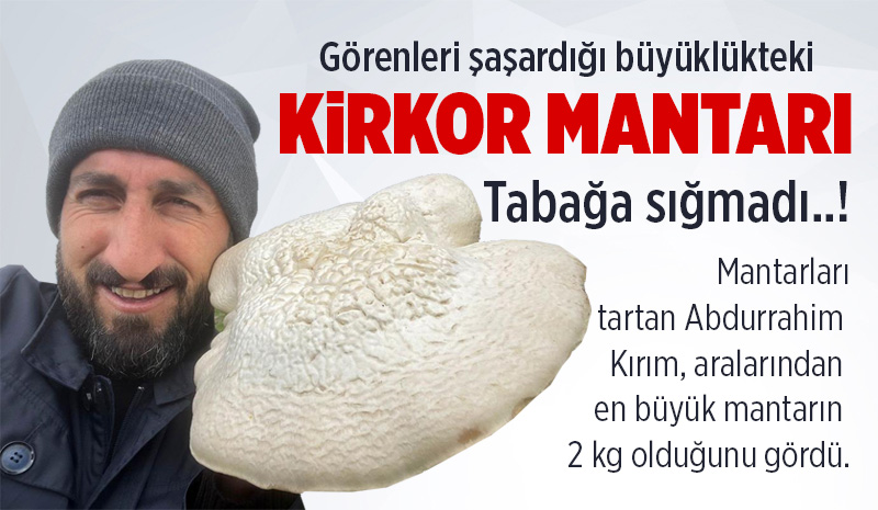 BİNGÖL’DE GÖRENLERİ ŞAŞIRTAN DEVASA MANTAR
Bingöl’de mantar toplamaya giden vatandaşlar 2 kilogram ağırlığında mantar buldu.

Ayrıntılar bingolonline. com'da