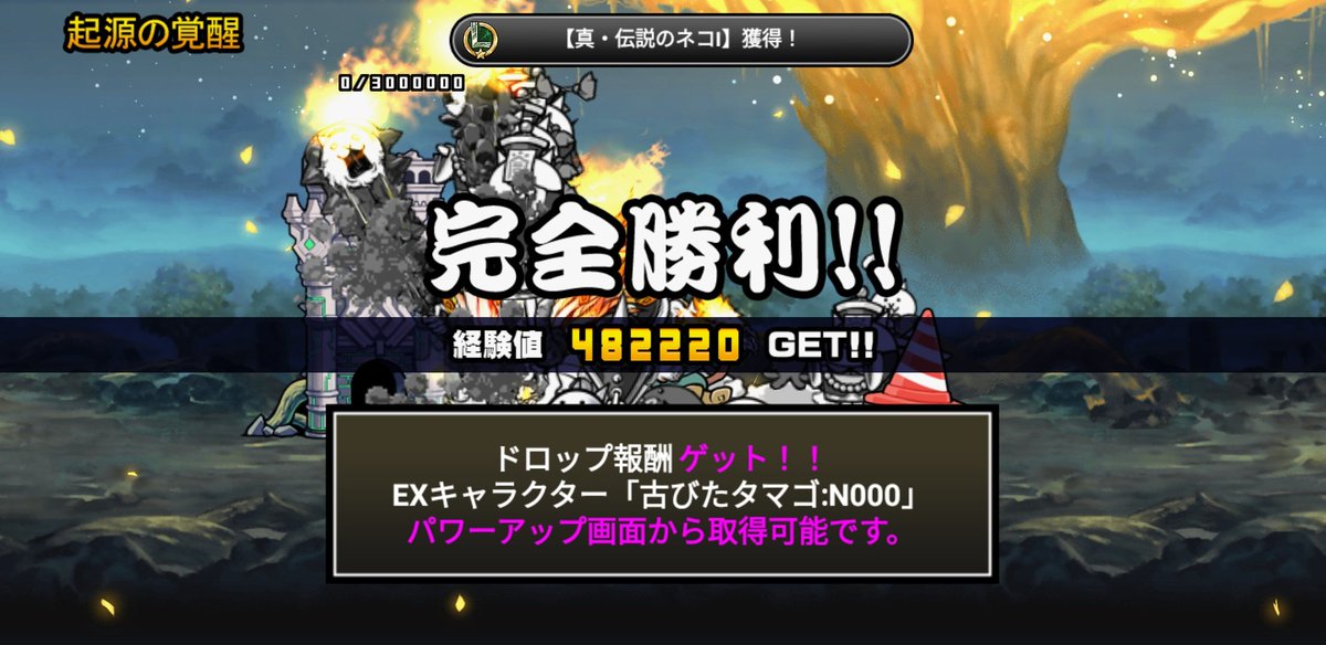 炭酸水 tweet media