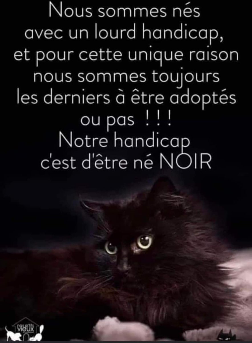 🌏 Planète Animaux tweet media