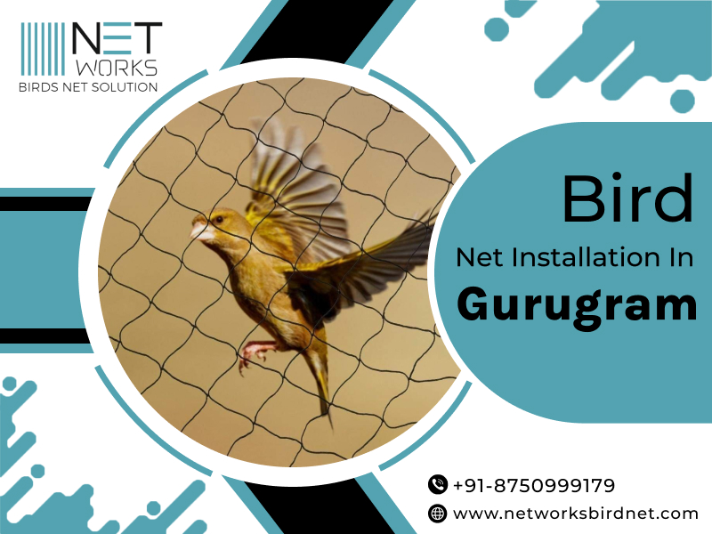 networksbirdnet's tweet image. Are you searching for Bird net installation in Gurugram? Networks Bird Net offers premium installation services in Gurugram. 
Visit Now:networksbirdnet.com
Contact us today for Bird net installation in Gurugram!
#BirdnetInstallation #Gurugram #NetworksBirdNet